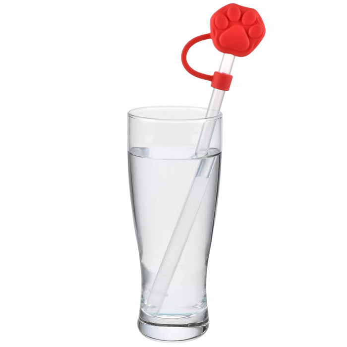 JDS - Zootopia Straw Cap with Straw