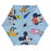 JDS - SHINY DAY x Mickey & Friends Folding Umbrella for Sunny or Rainy Day, Comes with Pouch, Walk (Release Date: Apr 8, 2025)