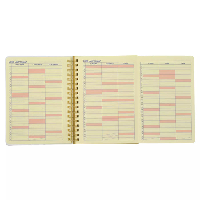 JDS - Calendar & Planner 2026 x Winnie the Pooh, Piglet, and Eeyore Rollbahn Diary L Planner/Schedule Book (Release Date: Aug 5, 2025)