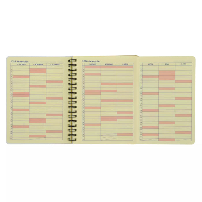 JDS - Calendar & Planner 2026 x Donald & Friends Rollbahn Diary L Planner/Schedule Book (Release Date: Aug 5, 2025)