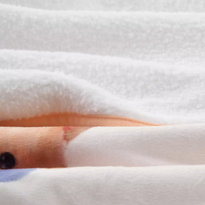 JDS - NUIGURUMI x Marie, Berlioz, Toulouse The Aristocats Blanket with Plush Toy (Release Date: Oct 21, 2025)