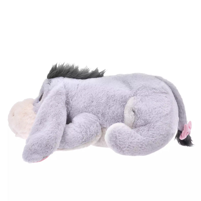 JDS - Warm Goods x Eeyore Plush Toy with Hot Watter Bottle (Release Date: Oct 21, 2025)