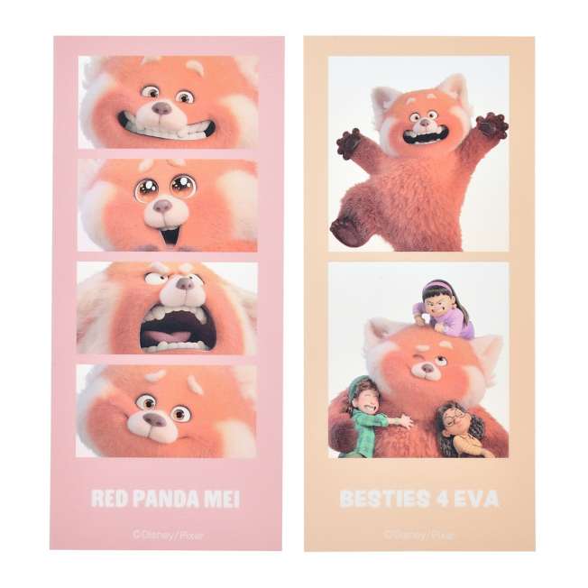 JDS - Sticker Collection x Me and Sometimes Red Panda Stickers Photo Style