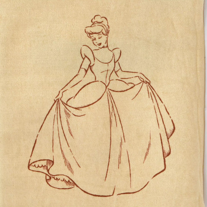 JDS - Cinderella Storybook Shaped Tissue Box Cover