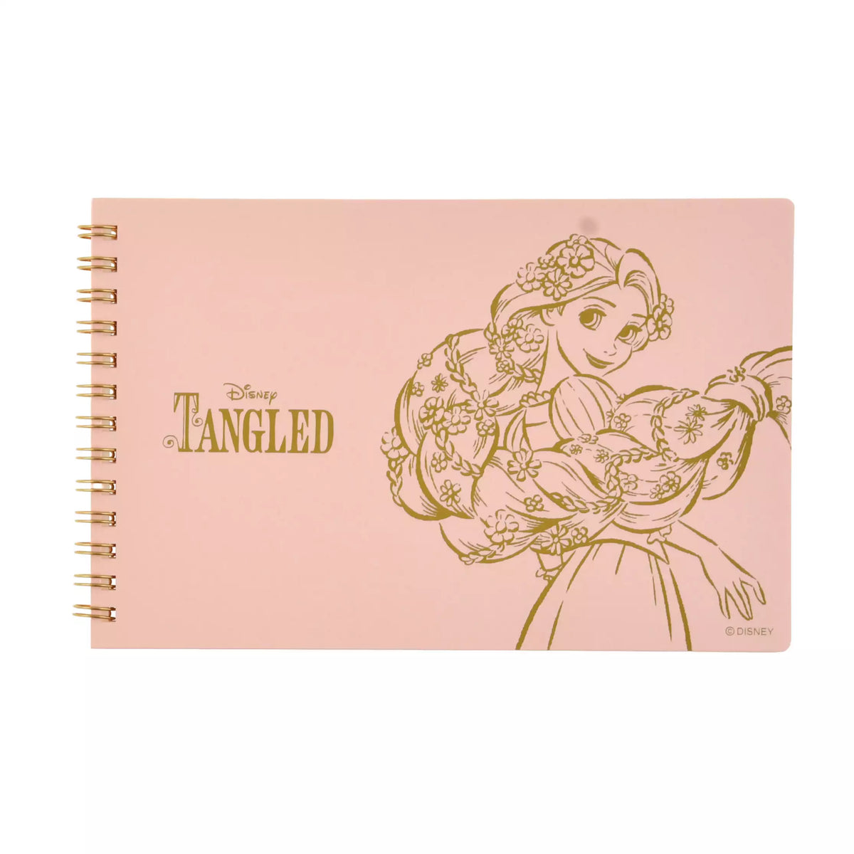 Pascal Notebook JDS - Rapunzel & Pascal Spiral Notebook, Horizontal, Foil Stamping, Ch ...