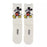 JDS - 2026 Mickey Mouse Socks, Back Design, White, Sizes 23-25