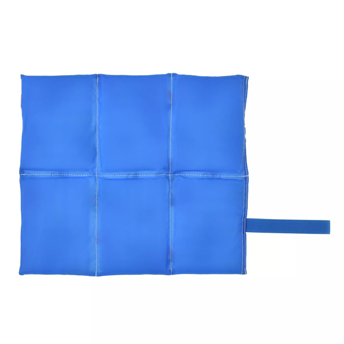 JDS - 2026 Disney Leisure Time x Mickey & Friends Seat Cushion with Pouch and Carabiner (Release Date: Apr 7, 2026)