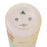 JDS - 2026 Suisai Icon Drinkware x Winnie the Pooh & Piglet Water Bottle