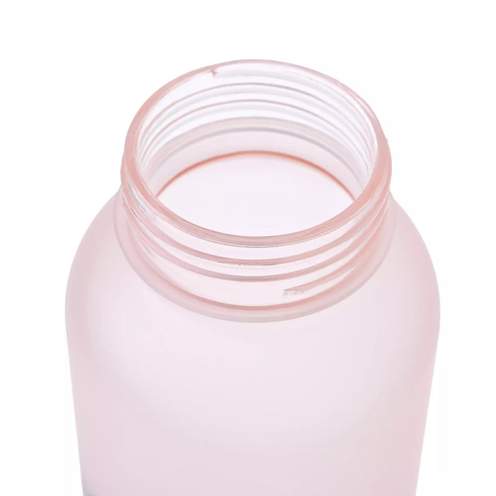JDS - Minnie & Figaro Water Bottle/Water Bottle (Frosted)