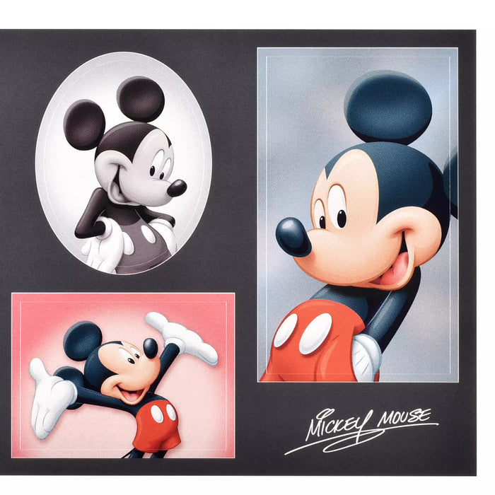 JDS - Sticker Collection x Mickey Mouse  "Photo Studio Style" Stickers