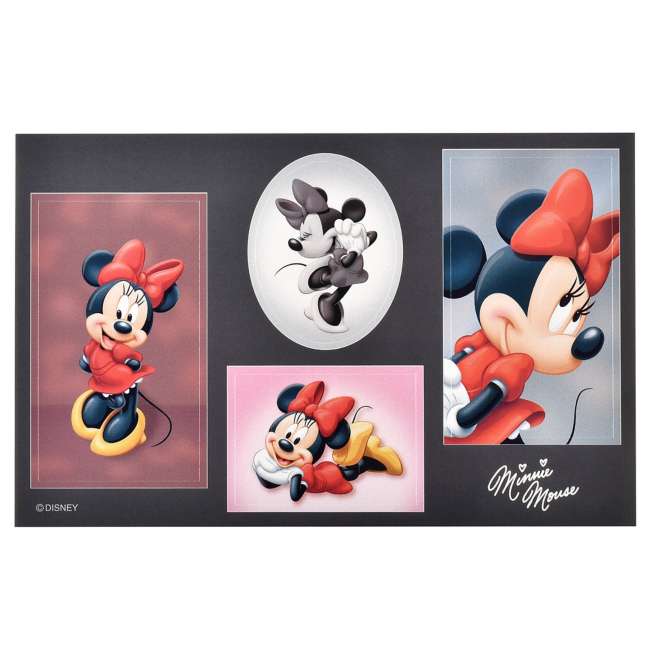 JDS - Sticker Collection x Minnie Mouse  "Photo Studio Style" Stickers