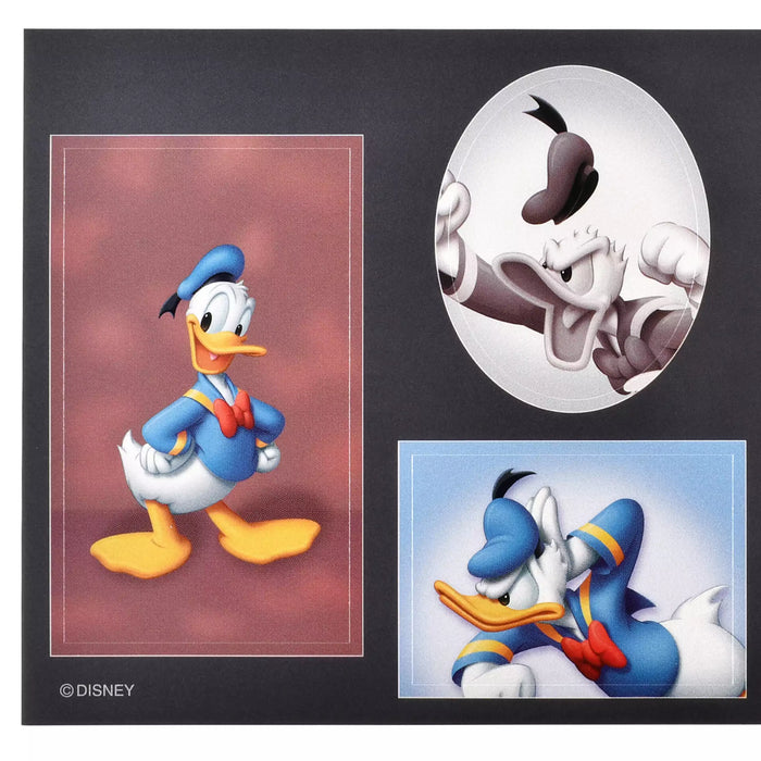 JDS - Sticker Collection x Donald Duck  "Photo Studio Style" Stickers