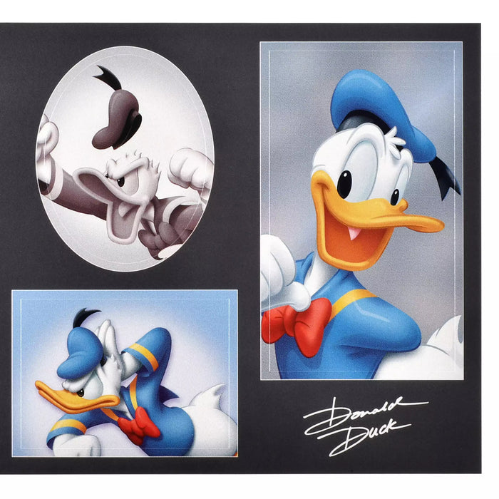 JDS - Sticker Collection x Donald Duck  "Photo Studio Style" Stickers