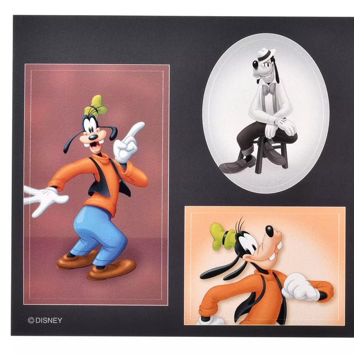 JDS - Sticker Collection x Goofy "Photo Studio Style" Stickers