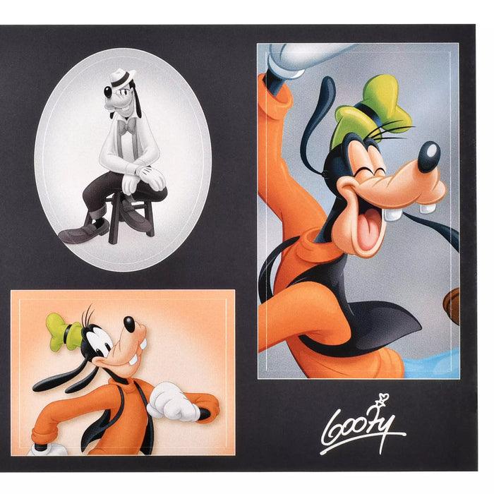 JDS - Sticker Collection x Goofy "Photo Studio Style" Stickers
