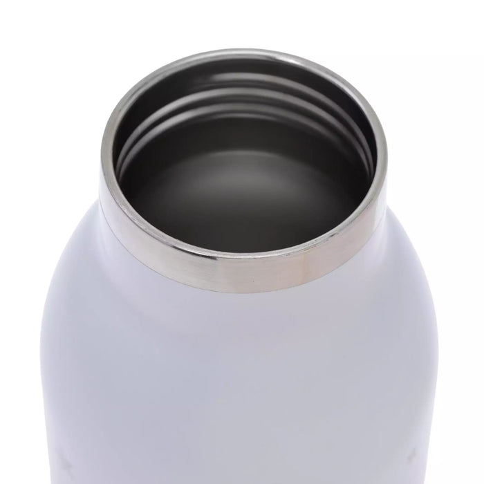JDS - 2026 Drinkware Chip & Dale "Good Sleep" Stainless Steel Bottle (Release Date: Jul 7, 2026)