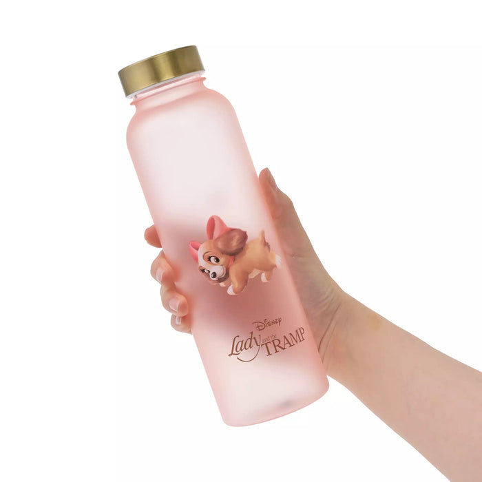 JDS - 2026 Drinkware Ladies' Frost Retro Classic Water Bottle (Release Date: Jul 7, 2026)