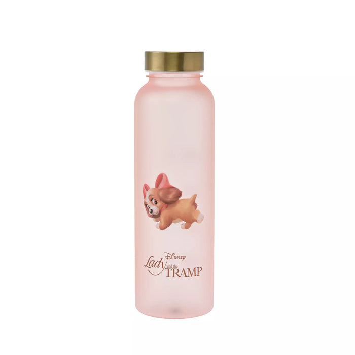 JDS - 2026 Drinkware Ladies' Frost Retro Classic Water Bottle (Release Date: Jul 7, 2026)