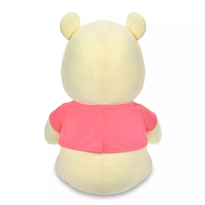 JDS - 2026 DAKI PLUSH x Winnie the Pooh Washable Cooling Plush Toy (Release DateL Jul 17, 2026)