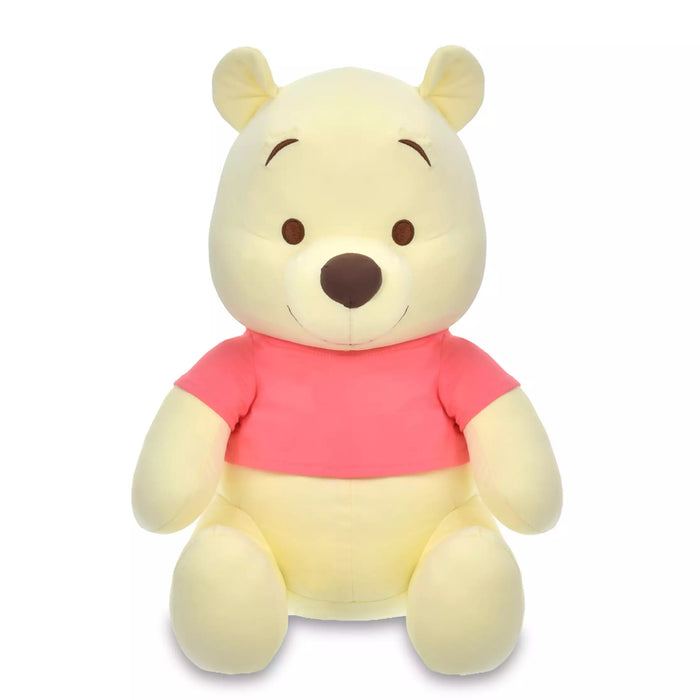 JDS - 2026 DAKI PLUSH x Winnie the Pooh Washable Cooling Plush Toy (Release DateL Jul 17, 2026)