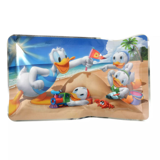JDS - 2026 Donald & Huey, Dewey, Louie Beach Ice Pack Punch Cool