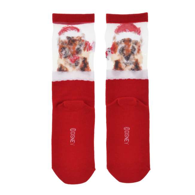 JDS - 2026 Disney Christmas x Chip & Dale Asymmetrical See-Through Santa Christmas Socks, Red, Sizes 23-25 (Release Date: Nov 3, 2026)