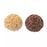 JDS - 2026 Holiday Gift x Stitch & Scrump Crunch Chocolate in a Canister (Release Date: Nov 3, 2026)