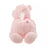 JDS - Sakura Cherry Blossom 2024- Winnie the Pooh Plush Toy Style Tissue Box Cover (Release Date: Jan 23)