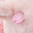 JDS - Sakura Cherry Blossom 2024- Winnie the Pooh Plush Toy Style Tissue Box Cover (Release Date: Jan 23)