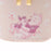 JDS - Sakura Cherry Blossom 2024- Winnie the Pooh & Piglet Vanity Pouch (Release Date: Jan 23)