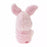 JDS - Sakura Cherry Blossom 2024- Piglet Plush Toy (Release Date: Jan 23)