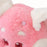 JDS - Sakura Cherry Blossom 2024- Red Panda Mei Plush Toy (Release Date: Jan 23)