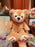 HKDL - Duffy & Friends x Duffy Plush Toy (Size SS)