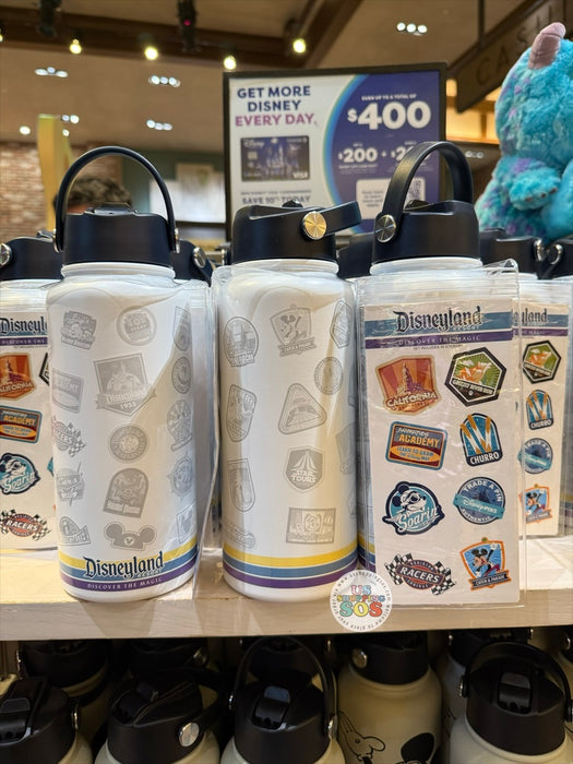 DLR/WDW - Park Logo & Icon Stickers Stainless Steel Water Bottle