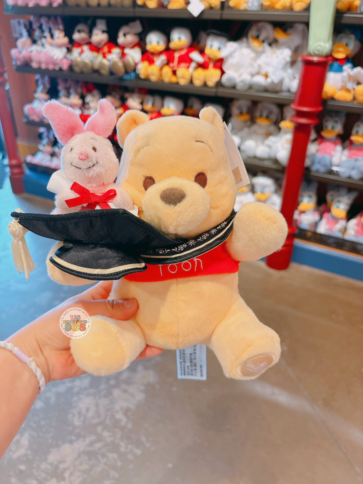 SHDL - 2026 Graduation Collection x Winnie the Pooh & Piglet Plush