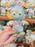 SHDL - 2026 Olu Mel "Dreamy Carnival" Collection x Plush Keychain