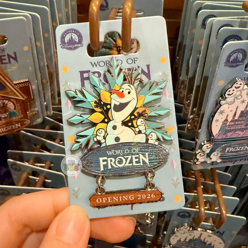 DLP - 2026 World of Frozen x Pin of Opening Snowflower Festival