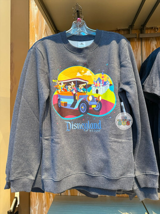 DLR/WDW - Play in the Park 2026 - Mickey & Friends Dark Grey Pullover (Adult)