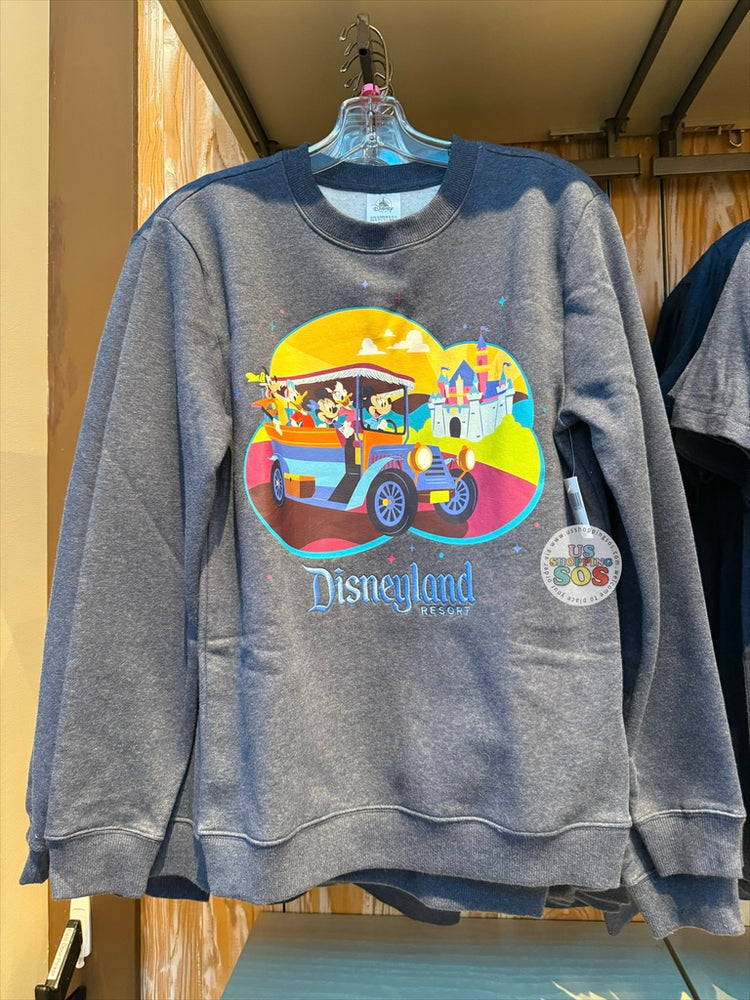 DLR/WDW - Play in the Park 2026 - Mickey & Friends Dark Grey Pullover (Adult)