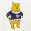DSEU - 2026 Winnie the Pooh Wearing Winter Sweater, Sweater for Adults