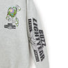 DSEU - 2026 Toy Story x Buzz Lightyear and Zurg Hoodie for Adults