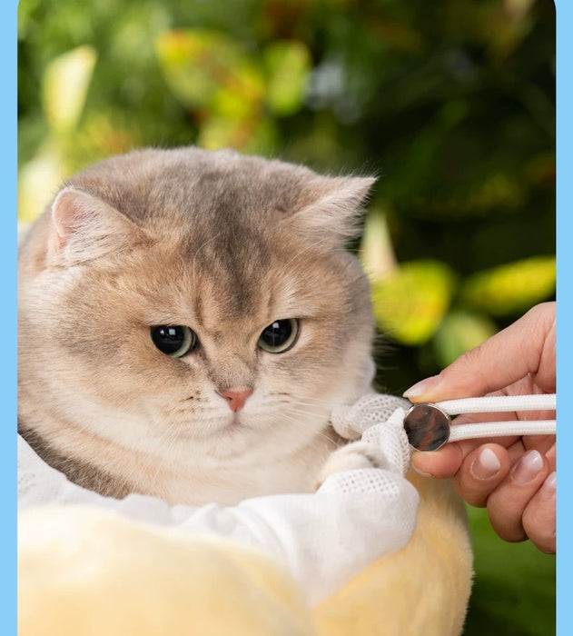 China Exclusive - Dreamy Eeyore Pet Carrier Shoulder Bag