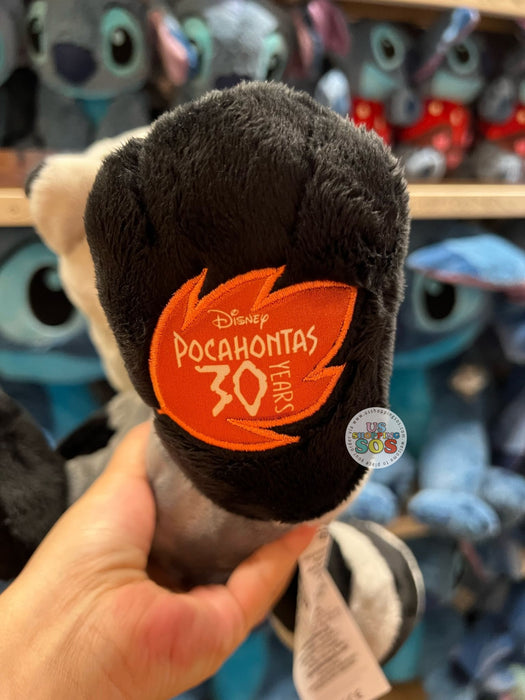 DLR/WDW - Pocahontas 30 Years - Meeko Big Feet Plush Toy