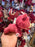 DLP - 2026 Chibi-Style "Naïf" Plush Toy - Toy Story Lotso