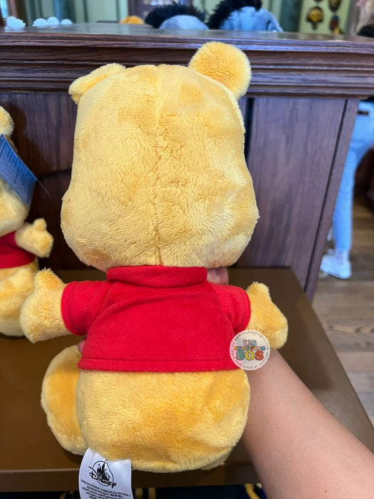 DLR/WDW - Winnie the Pooh - Pooh Big Feet Plush Toy (Size M)