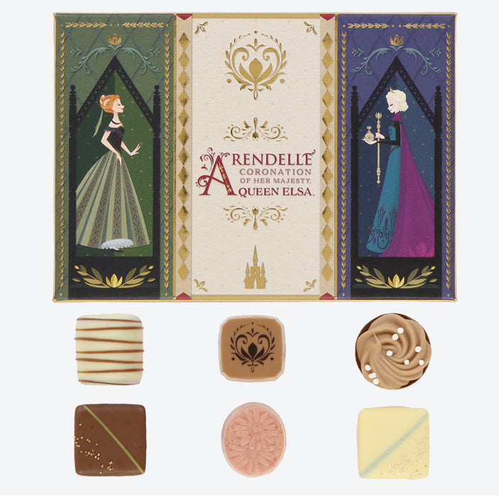TDR - Fantasy Springs Anna & Elsa Frozen Journey Collection x Assorted Chocolate Box Set