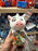 DLR/WDW - Moana 2026 - Pua Plush Slap Bracelet