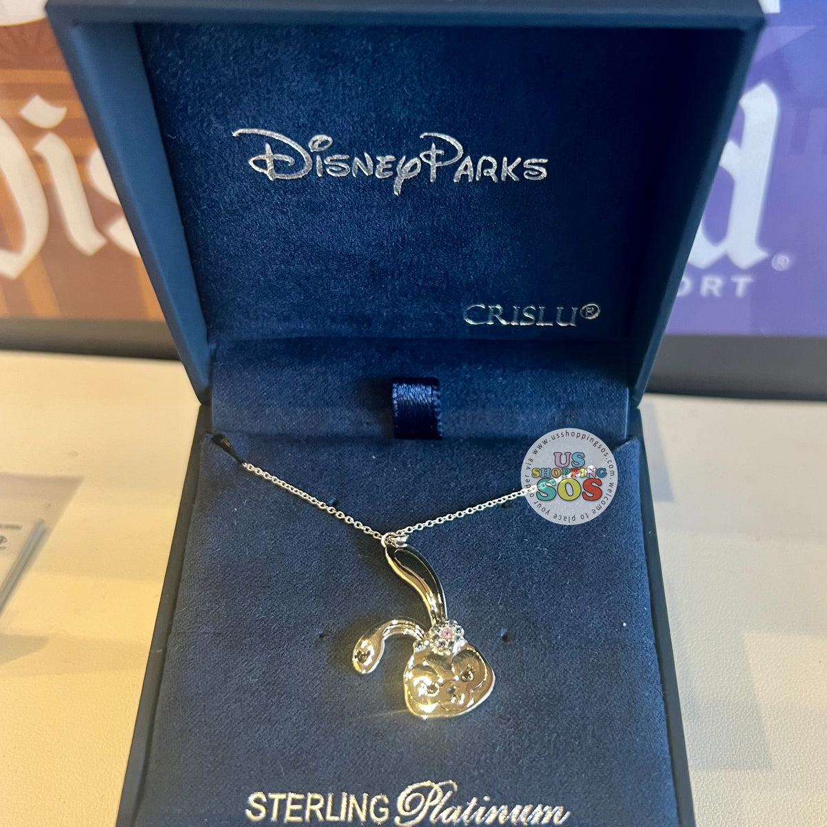 DLR - Crislu StellaLou Big Face Icon Sterling Platinum Necklace
