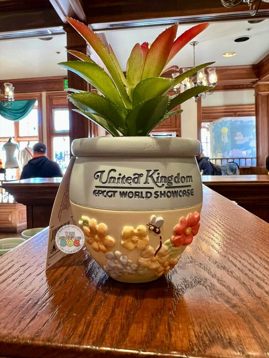 WDW - Epcot World Showcase United Kingdom 🇬🇧 - 2026 Classic Pooh Artificial Succulent Planter