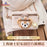 SHDL - 2025 Duffy Dreamy Carnival Collection x Shoulder Bag